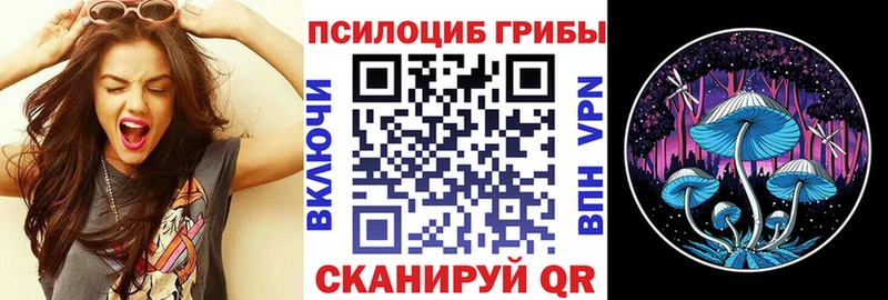 закладка  Петровск  Псилоцибиновые грибы Magic Shrooms 